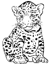 Рисунки ягуара для срисовки (20 фото) • Прикольные картинки и позитив